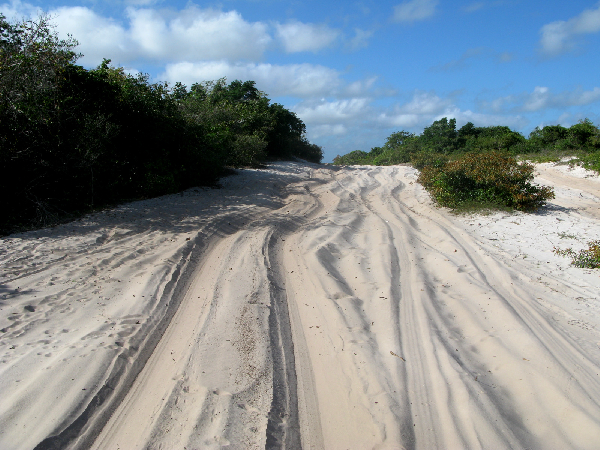 369.the road