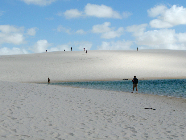 388.walking dune
