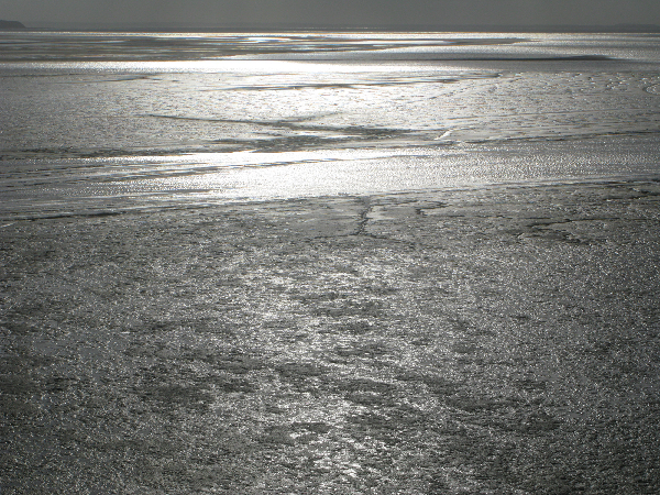 483.low tide