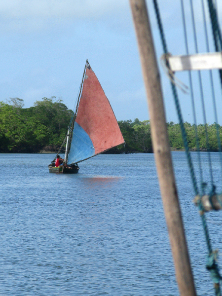 825.sailing