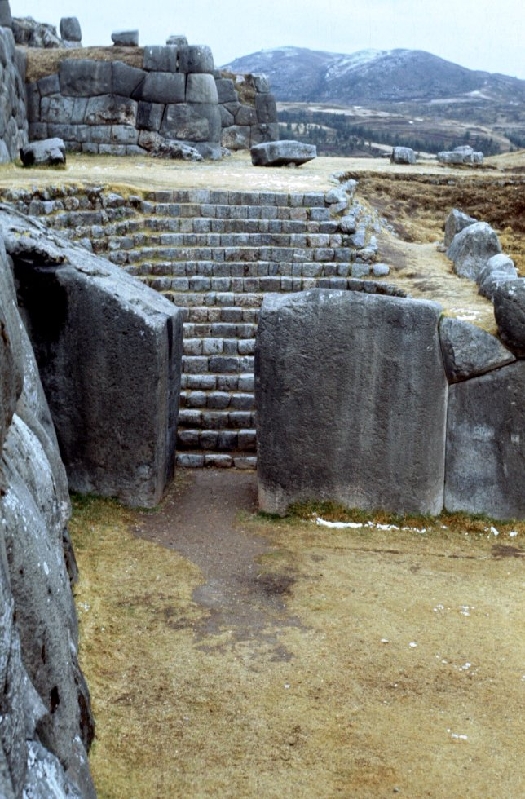 sachsauman10