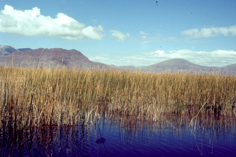 uros7