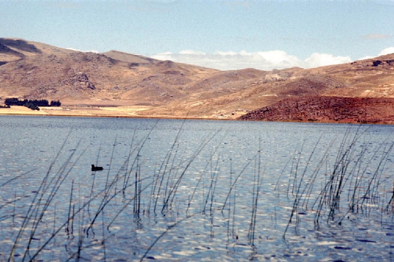 uros9