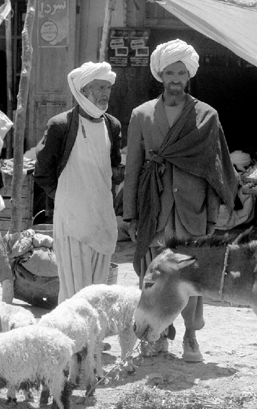 herat001