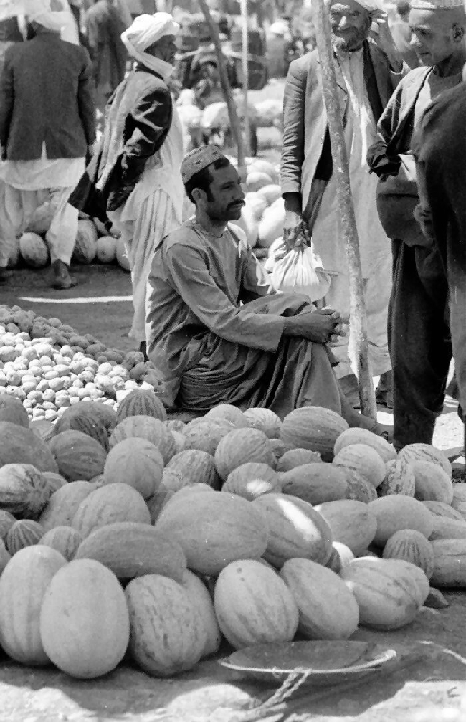 herat006