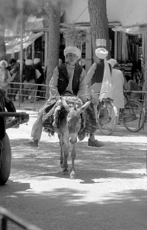 herat010