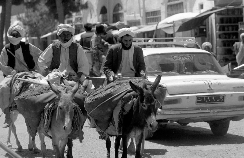 herat011