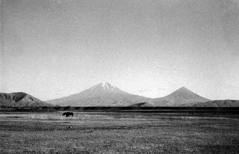 ararat000