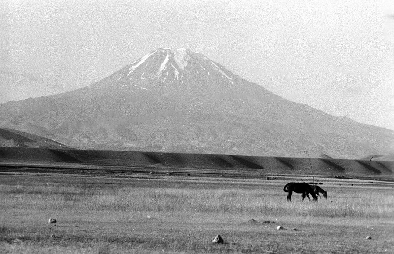 ararat001