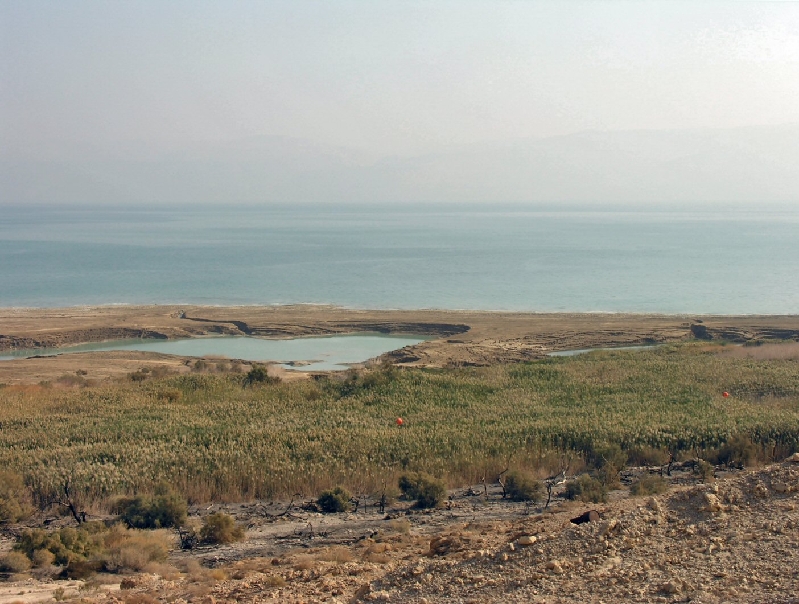 302.dead sea