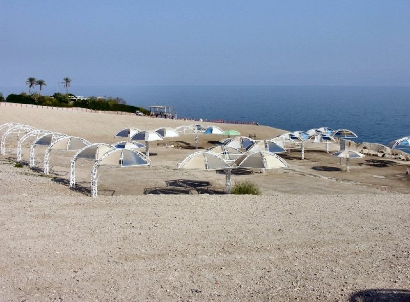 308.ein gedi