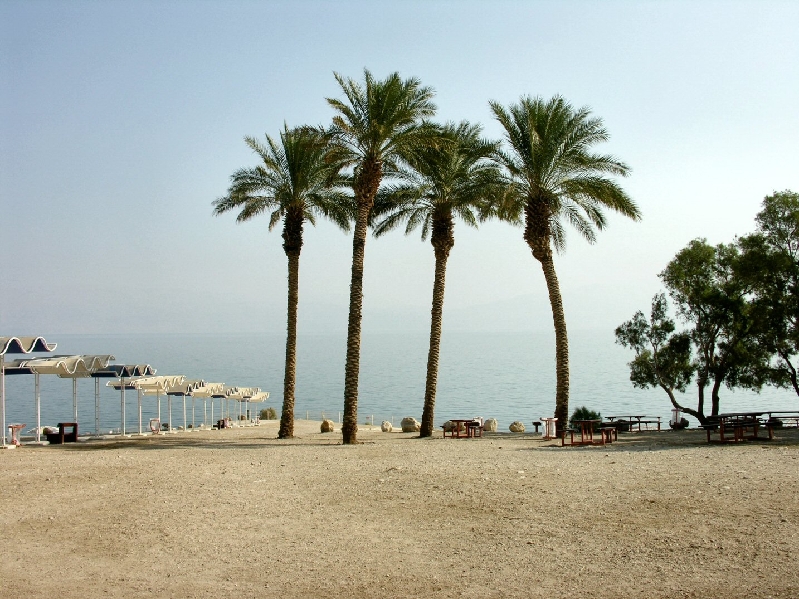311.eingedi