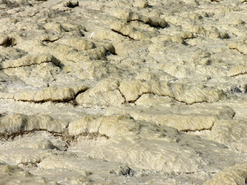 315.salt