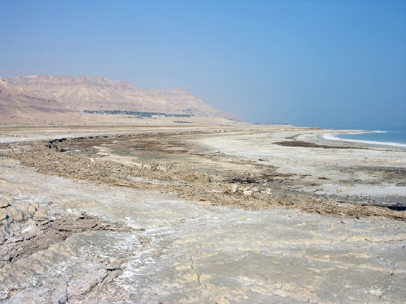 319.dead sea