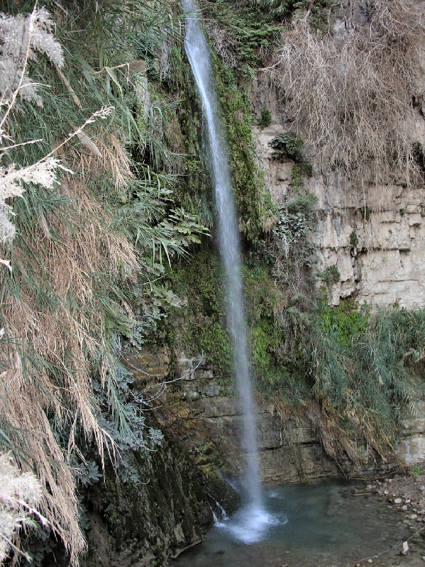 353.eingedi park