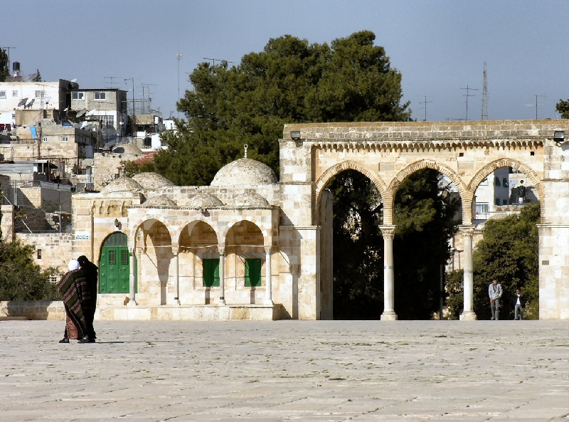 141.temple mount