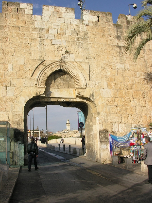 206.gate