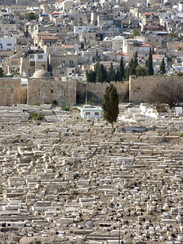 240.graveyard