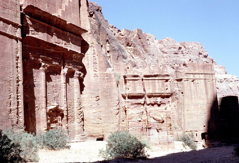 petra006