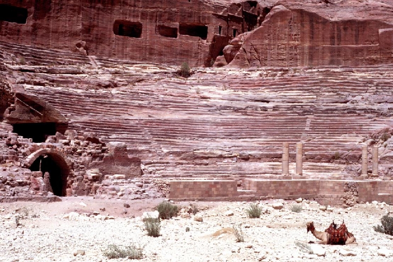 petra008