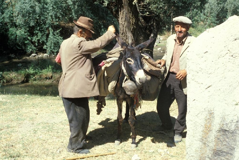 contadini002