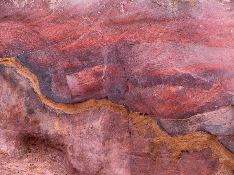 colors4