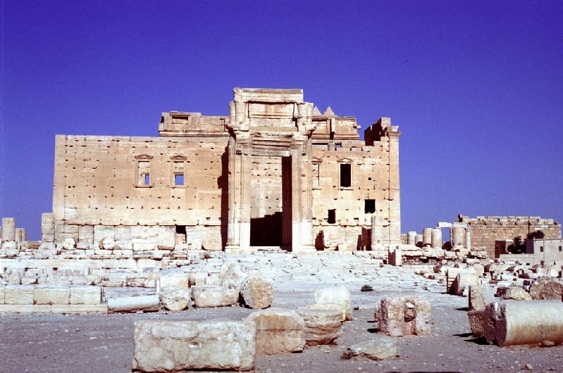 palmyra017