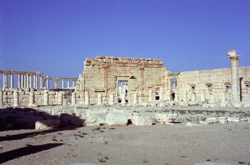 palmyra018