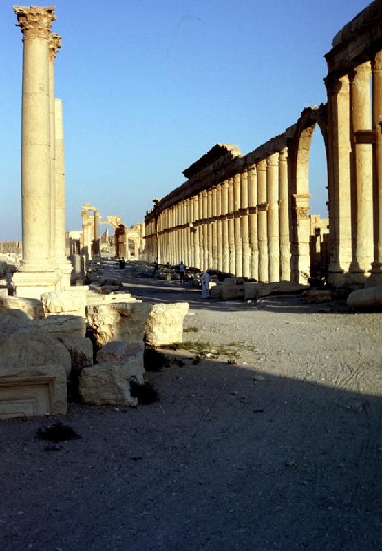 palmyra019