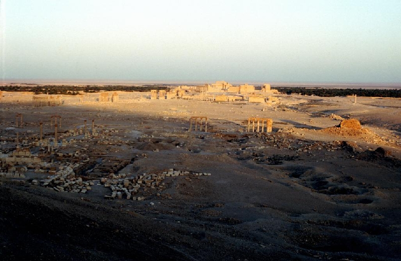 palmyra022