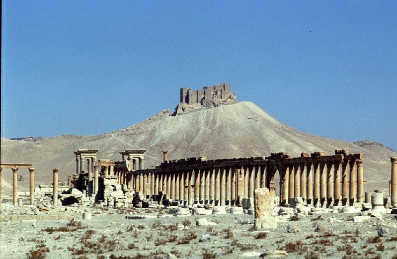 palmyra023