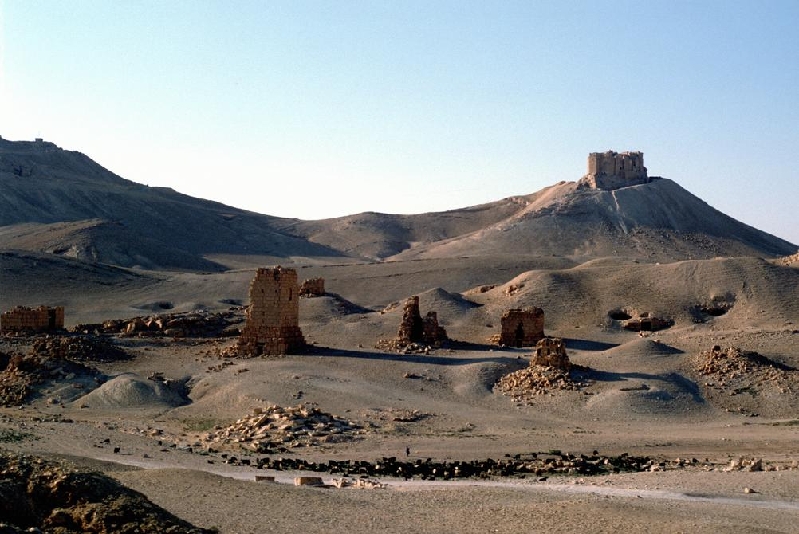 palmyra025