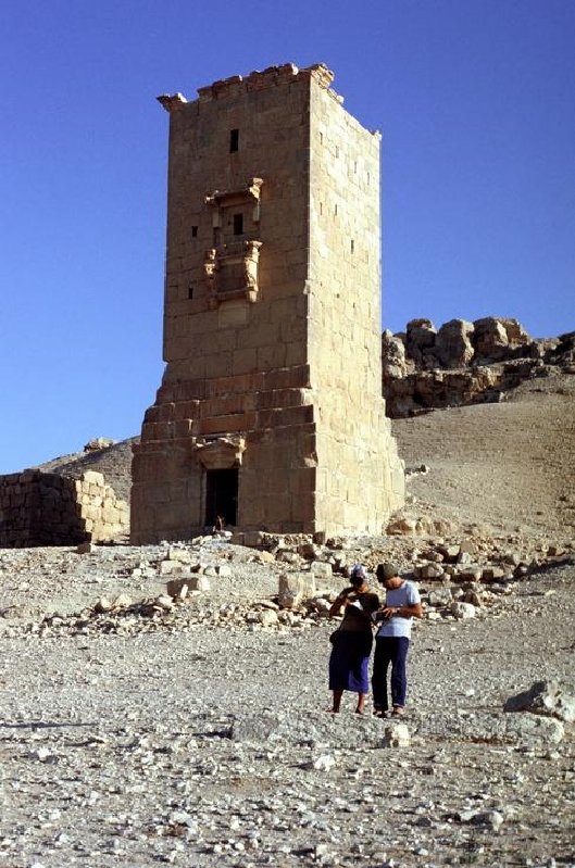 palmyra027