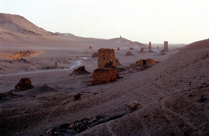 palmyra028