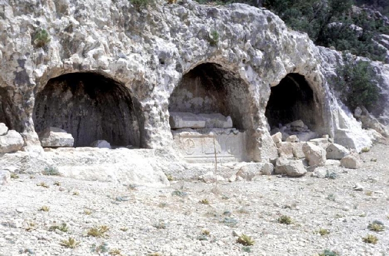 alahan8