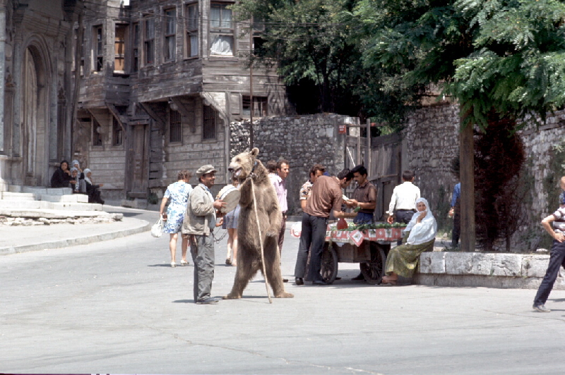 turkey001