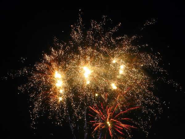IMG 7655