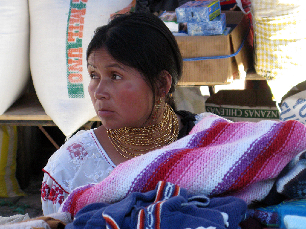 IMG 7768
