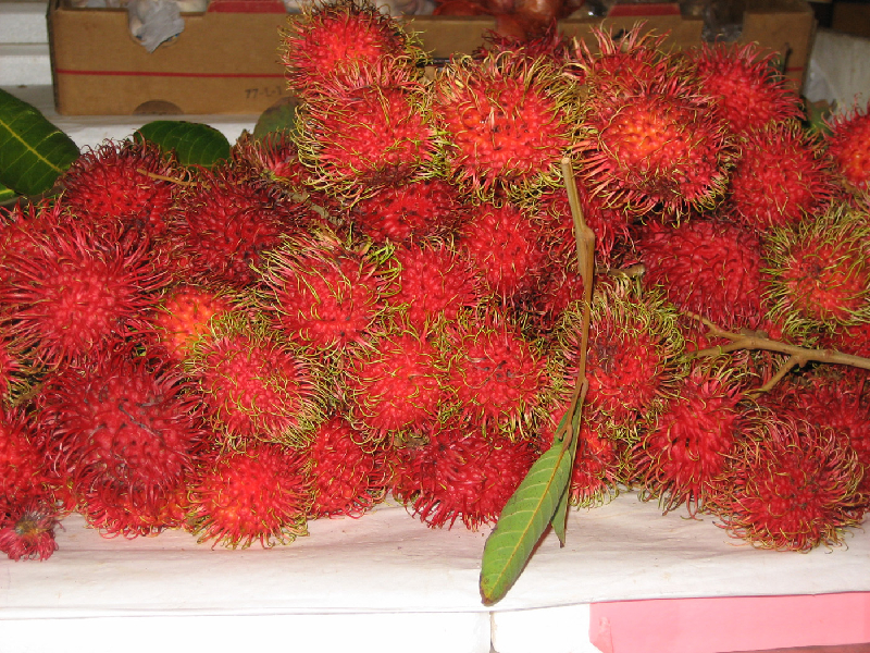 rambutan2