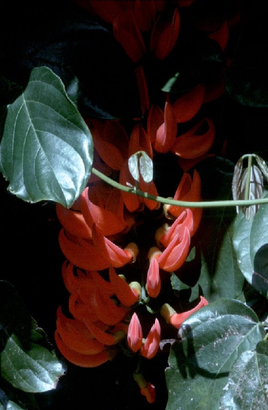 059