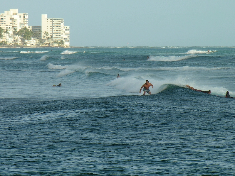 64.surfers