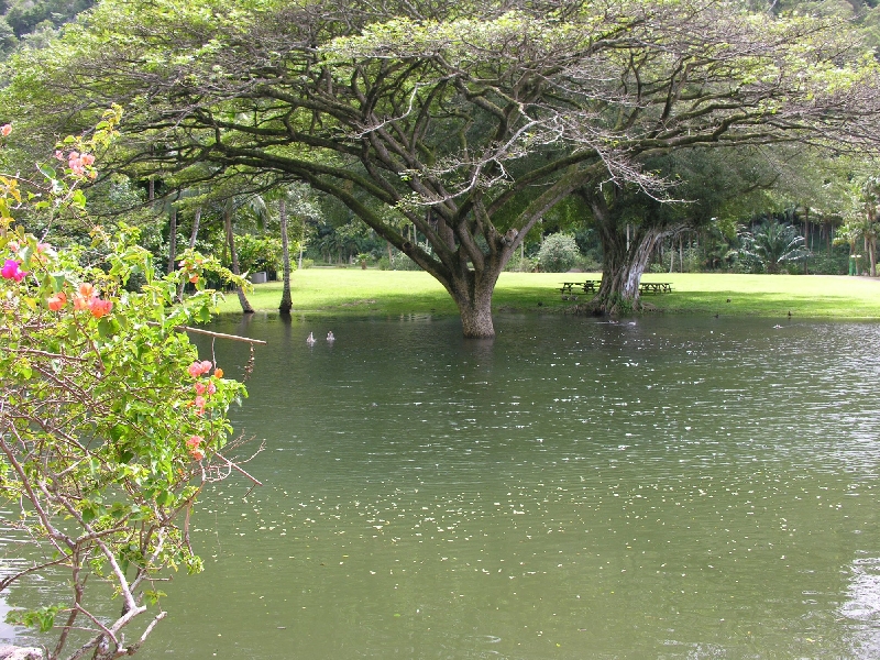 65.waimea valley