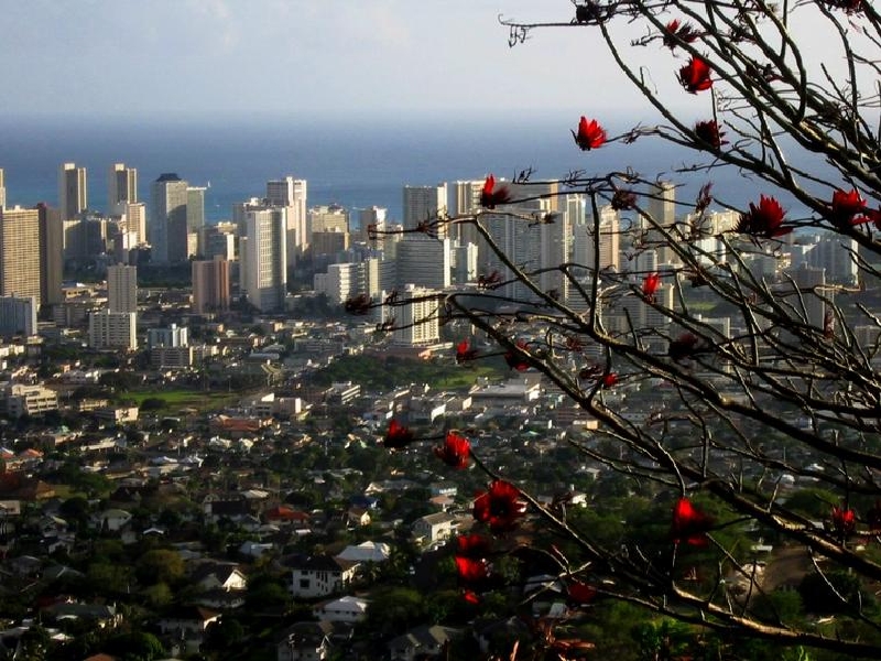 hono fr tantalus3