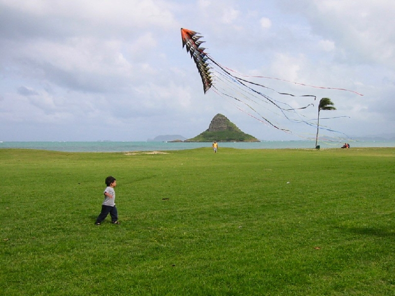 kite2