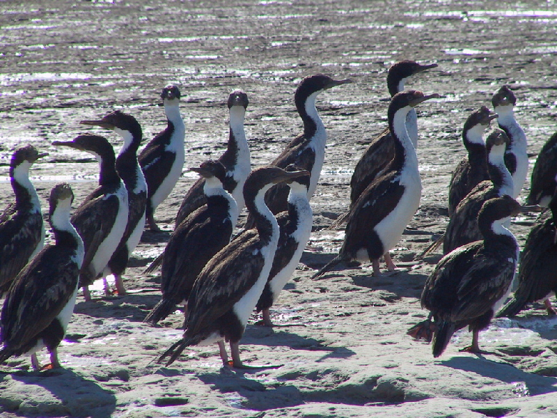punta piramide12