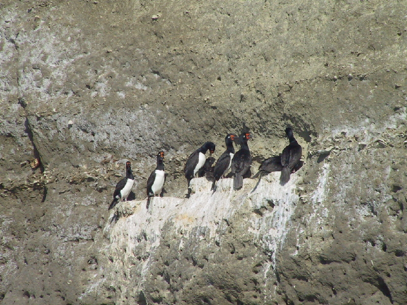 punta piramide16
