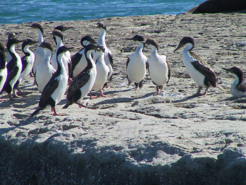 punta piramide8